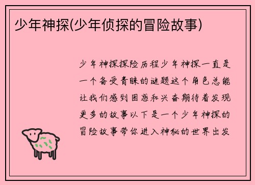 少年神探(少年侦探的冒险故事)